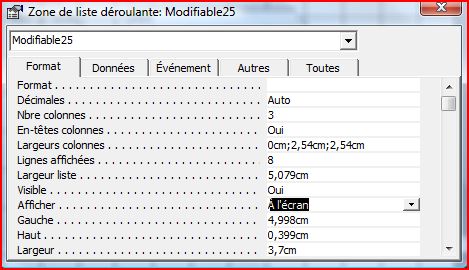 Les proprits de la liste droulante pour l'onglet Format