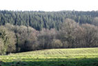 Buzet et MCDBEN