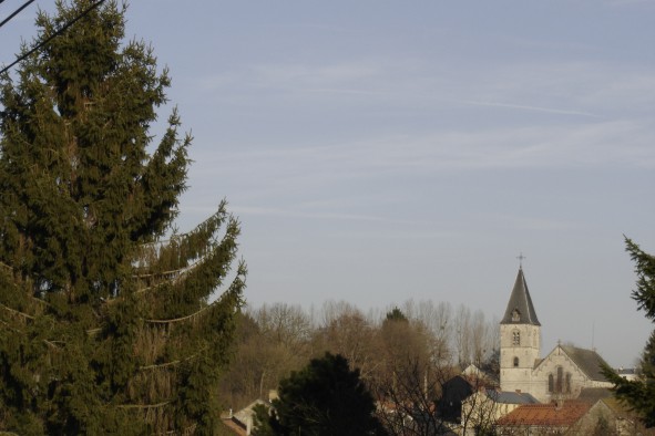 Buzet1
